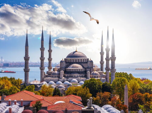 MAGNIFICENT TURKEY 